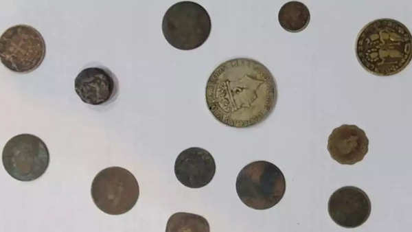 400-year-old coins found in Sambhal