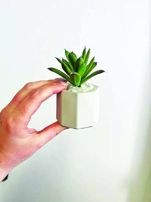 CLEARANCE _ Handmade Mini Artificial Desk Plants - Plain Grey _ Air Plant (Light Green & Spiky)
