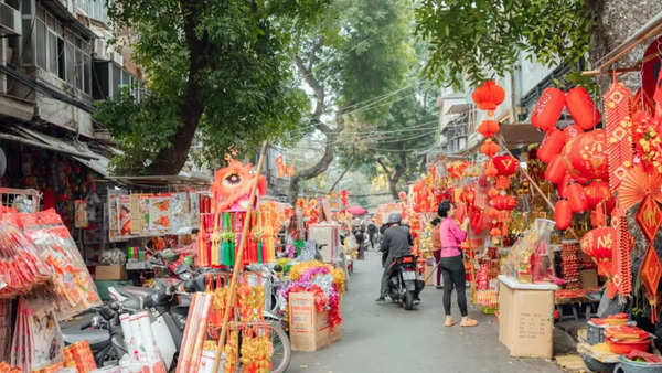 what doe the chinese new year of the rooster mean