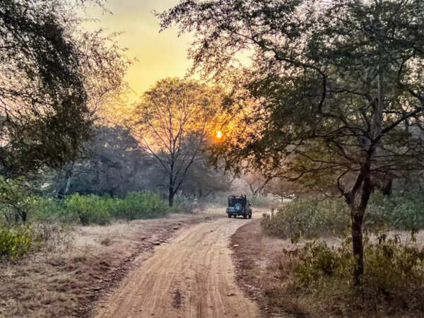 Van Vihar National Park