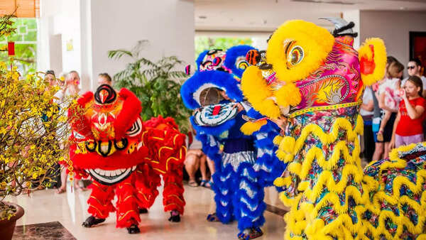 Chinese New Year 2025