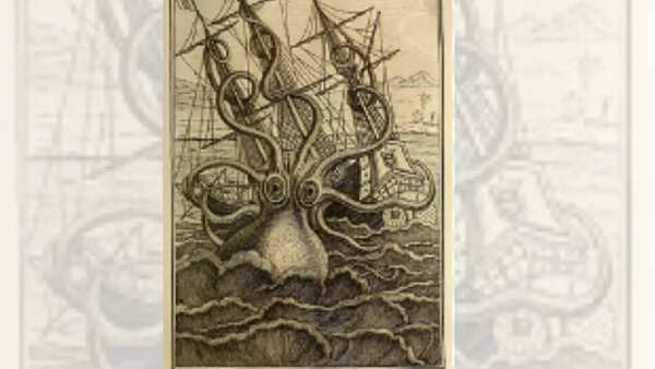 Kraken