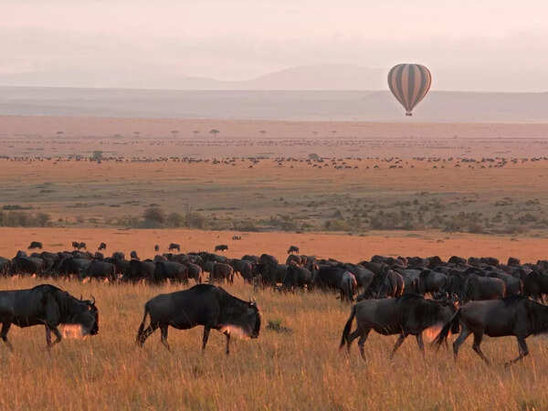 Masai Mara adventures