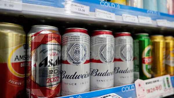 Beer (4)