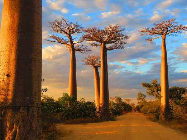 5 reasons why you must visit Madagascar