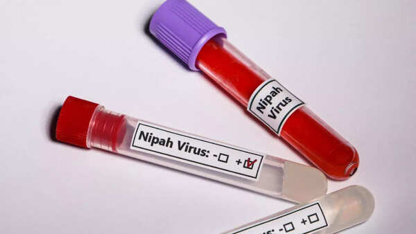 nipah