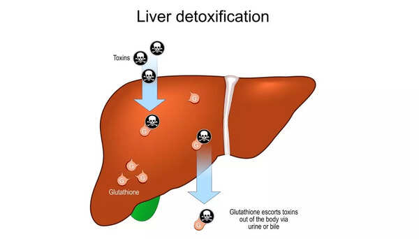 can glutathione help with fatty liver IV Glutathione for Fatty Liver in Los Angeles main image 1