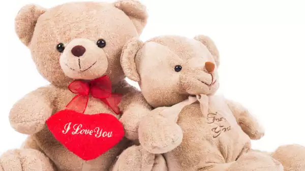 Teddy Day wishes