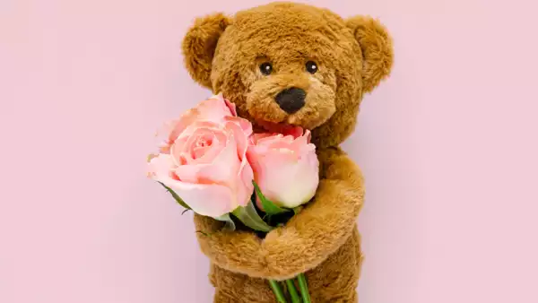 Teddy Day wishes