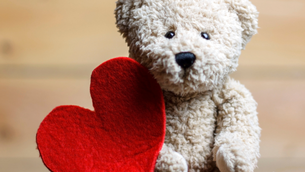 Teddy Day quotes