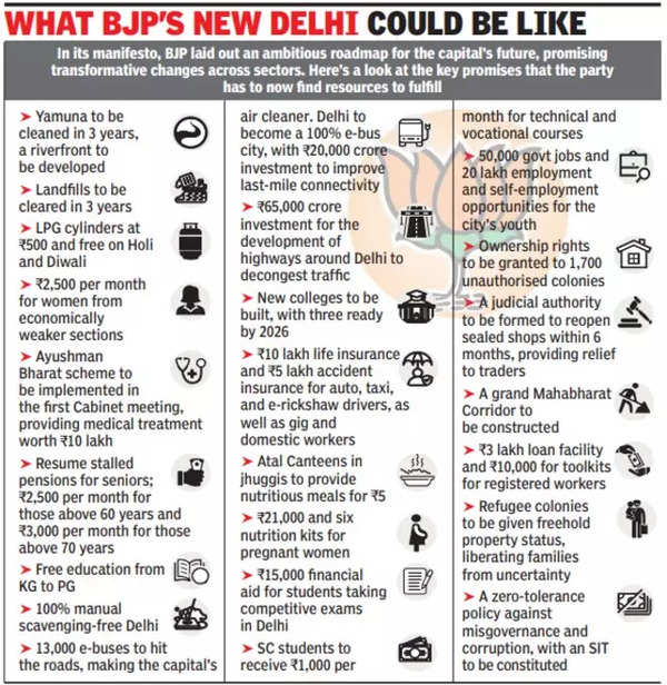 What BJP's New Delhi could be like