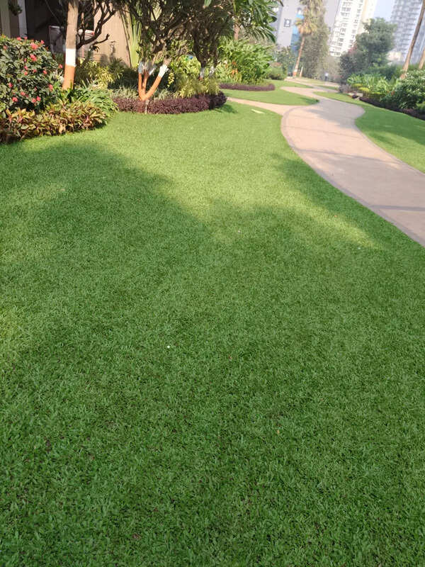 Beaumonde Society in Prabhadevi won in the podium garden category (3,000–5,000 sq m).