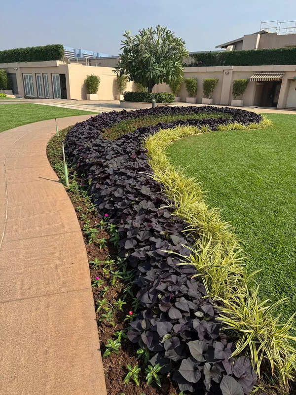 Godrej enterprises group at , Vikhroli -- bagged multiple awards across various categories some including manure production from garden waste, rooftop terrace gardens (500 sq m), flowers in pots, aromatic and medicinal plants, and planting and conserving the maximum number of trees