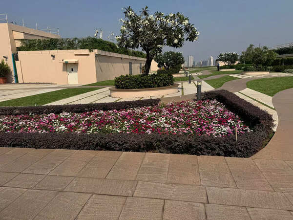 The competition featured a variety of categories, including fruit trees in pots, seasonal flowers, ornamental leafy plants, aromatic and medicinal plants, maximum tree planting, traffic islands maintained by organizations