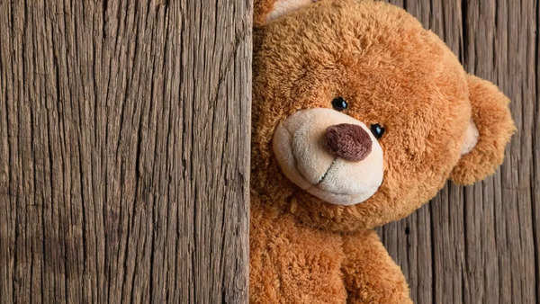 Teddy Day wishes