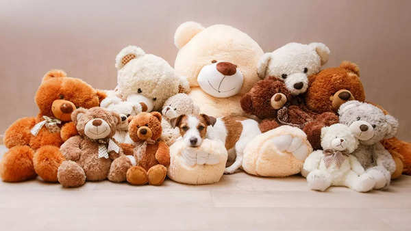 Teddy Day wishes