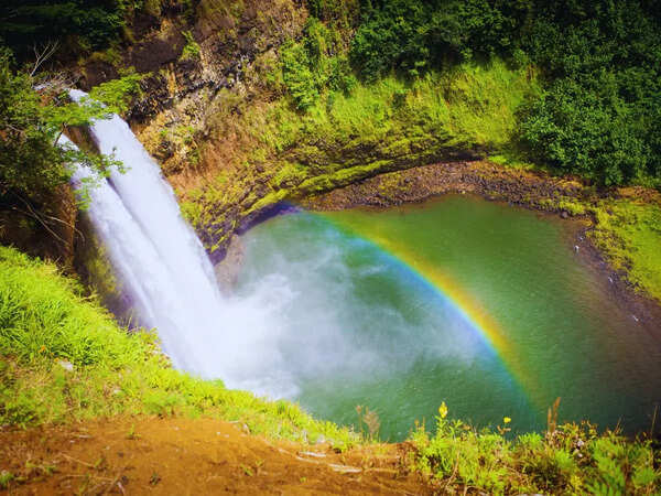 Rainbow hawaii