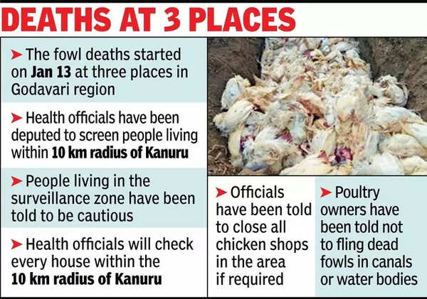Deaths at 3 places