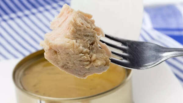 canned tuna 2