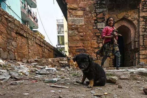 कुत्ते ने जन्म दिया