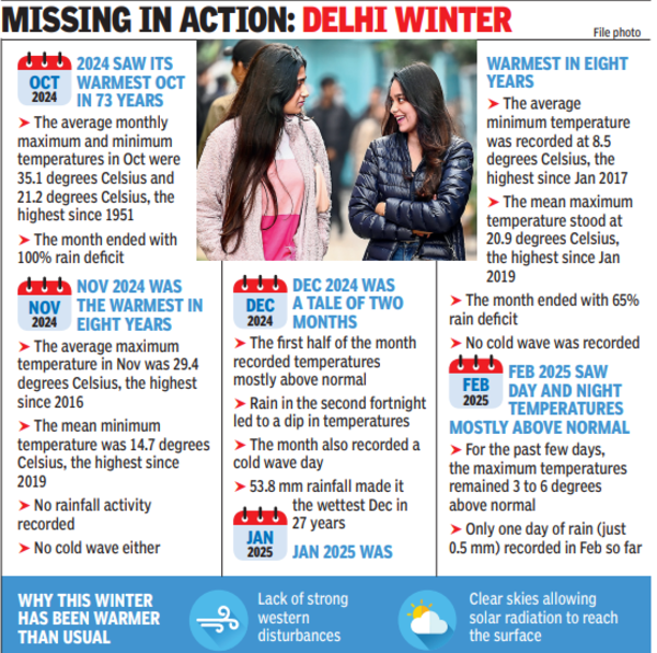 Delhi winter