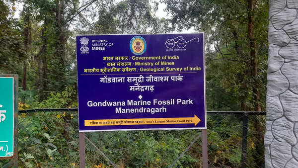 Gondwana Marine Fossil Park, Manendragarh – Asia's largest marine fossil site