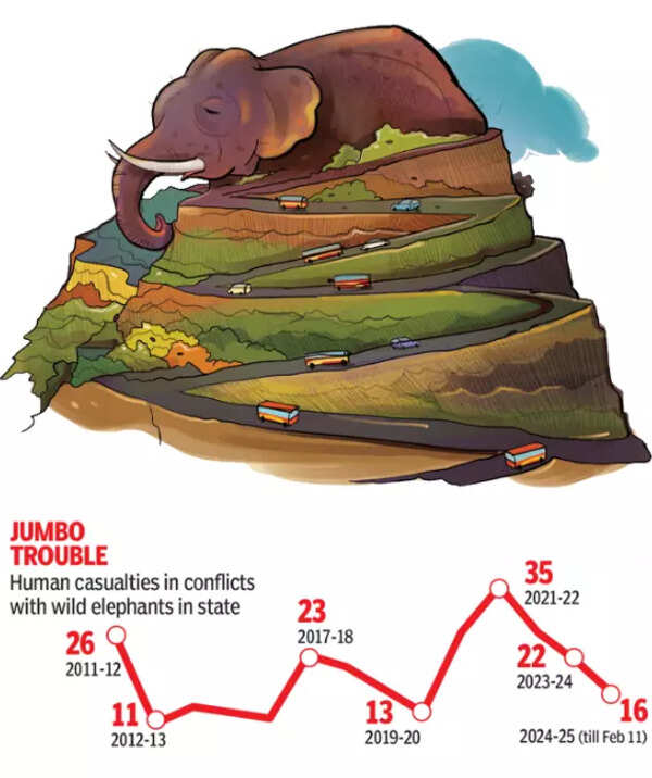 elephant attacks in Kerala
