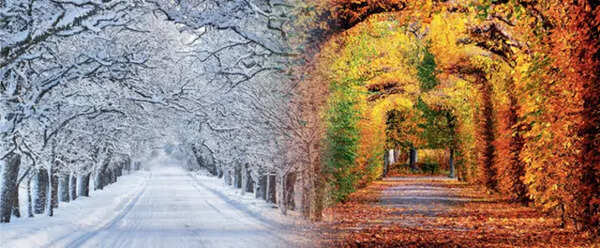 HOW THE WORLD TURNS... Seasons change as Earth tilts towards and orbits the sun in an ellipse — owing to both the influences, winter and summer take place at different times of the year in the Northern and Southern Hemispheres