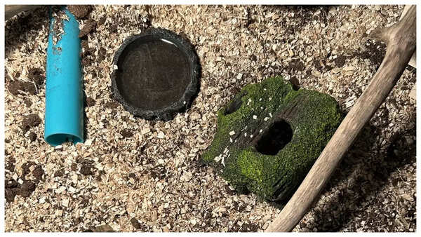 BeFunky-collage (81)