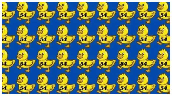 Optical illusion: Only a genius can spot the odd number hidden among a ...