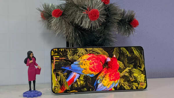 OnePlus 13R display