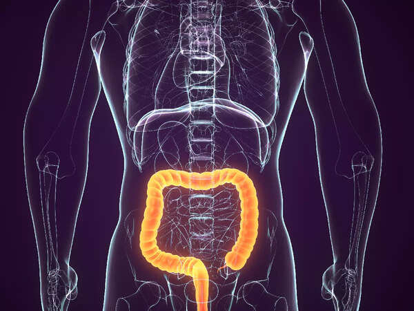 intestine gut health