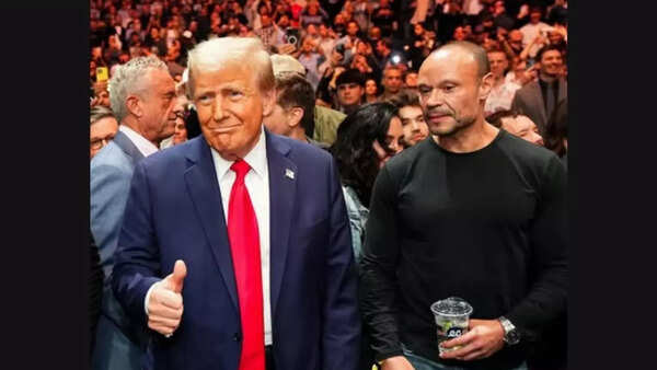 dan and donald