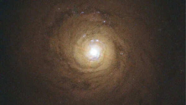 NGC 5584