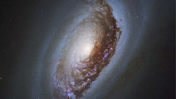 Black eye galaxy