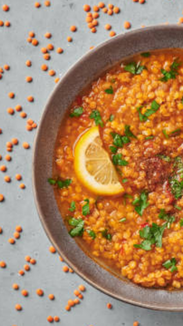 Grok 3 Launch Elon Musk Explains What Grok Means The Times Of India