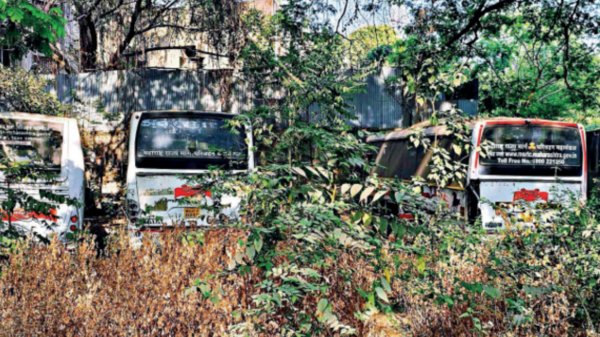 MSRTC bus