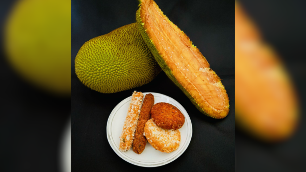 ‘Arka Coorg Ravi’, the desi avocado promises more yield in Karnataka ...