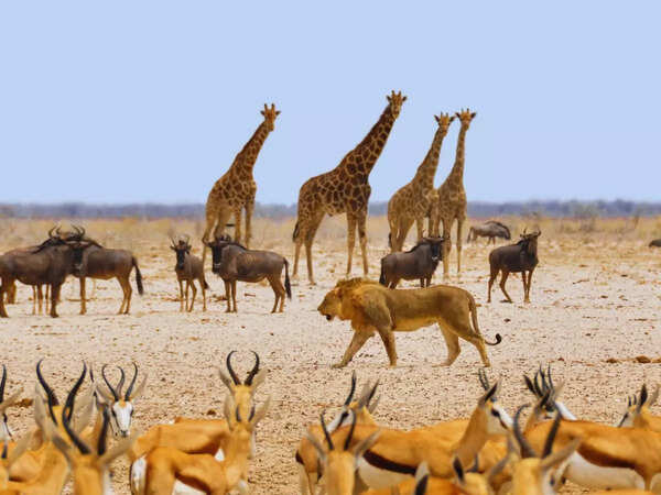 Namibia