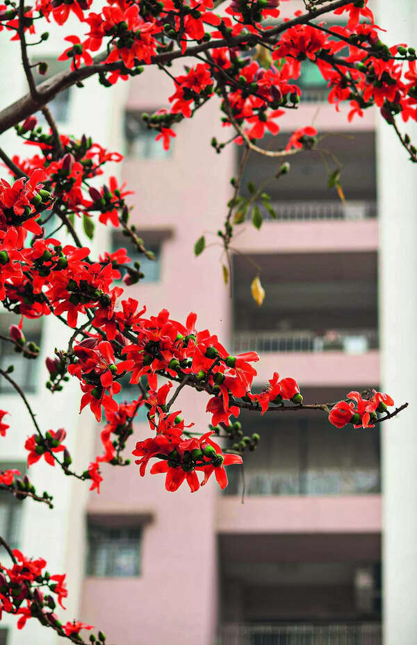 p3_ss_Shimul_Rajarshi (3)