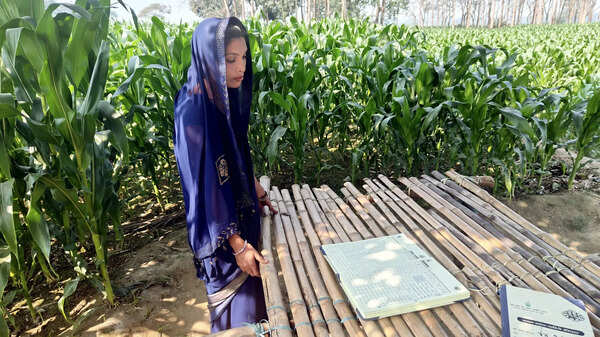 Indu Devi near her solar pump in Suryahi village Indu Devi near her solar pump in Suryahi village