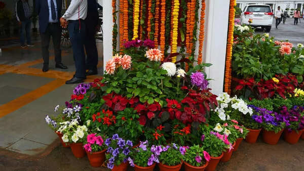 floral bloom at Delhi assembly