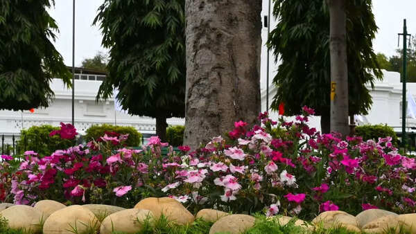 floral bloom at Delhi assembly