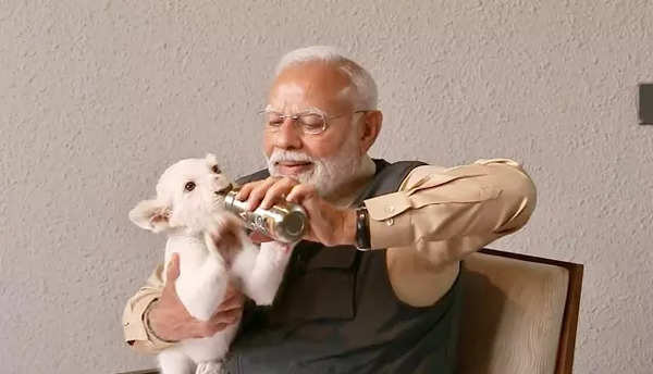 PM Modi