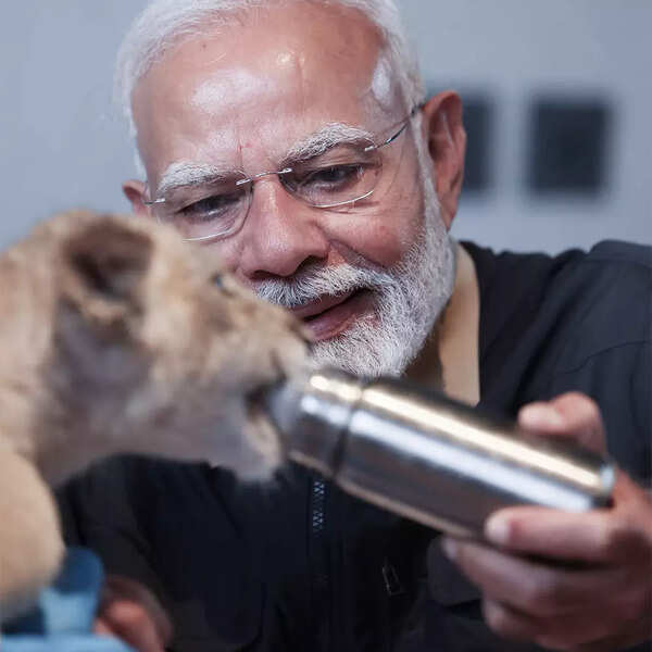 20 (1)