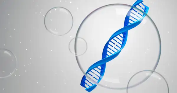 chromosome
