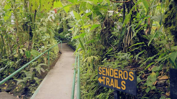 Monteverde Cloud Forest in Costa Rica