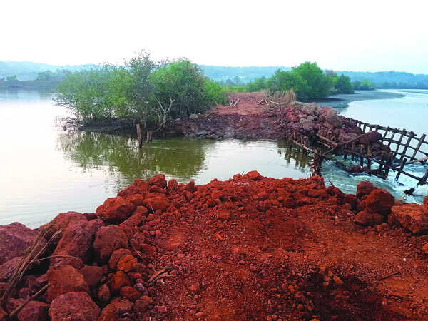 Repaired year ago, bundh at Azossim is crumbling again