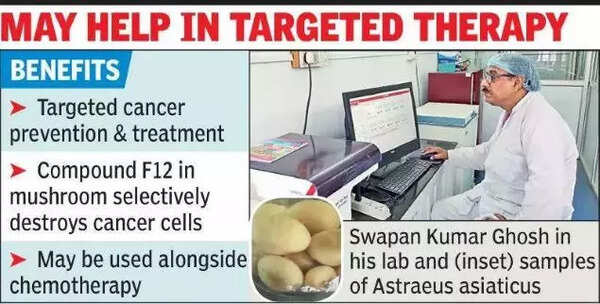 The researchers further investigated how the mushroom's compounds interacted with key proteins involved in cell death