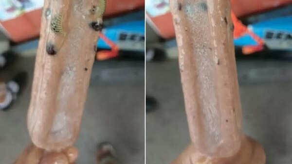 Thai man discovers snake frozen inside ice cream bar